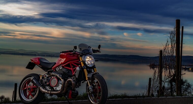 Ducati Monster 821 – État impeccable, faible kilométrage !